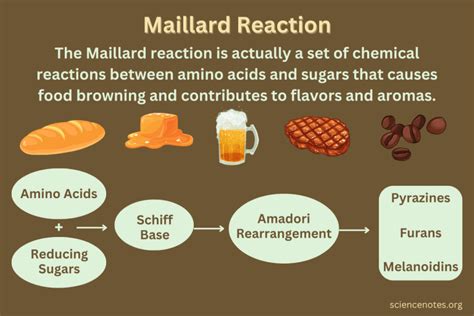 is fish meat or not|Cooking meat/fish without Maillard reaction(a.k.a. browning).